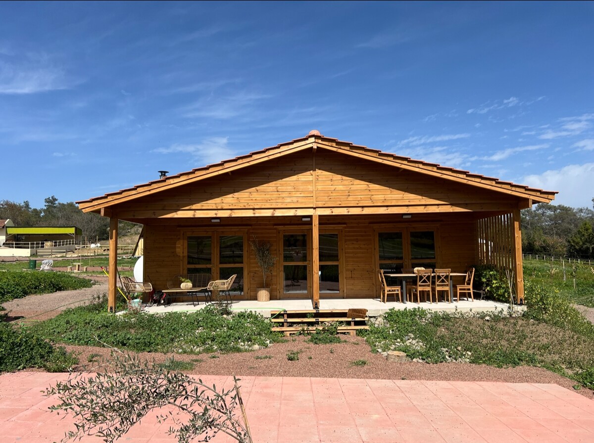 0d9c2a33-d58c-4d0f-929c-039c00e1e59d