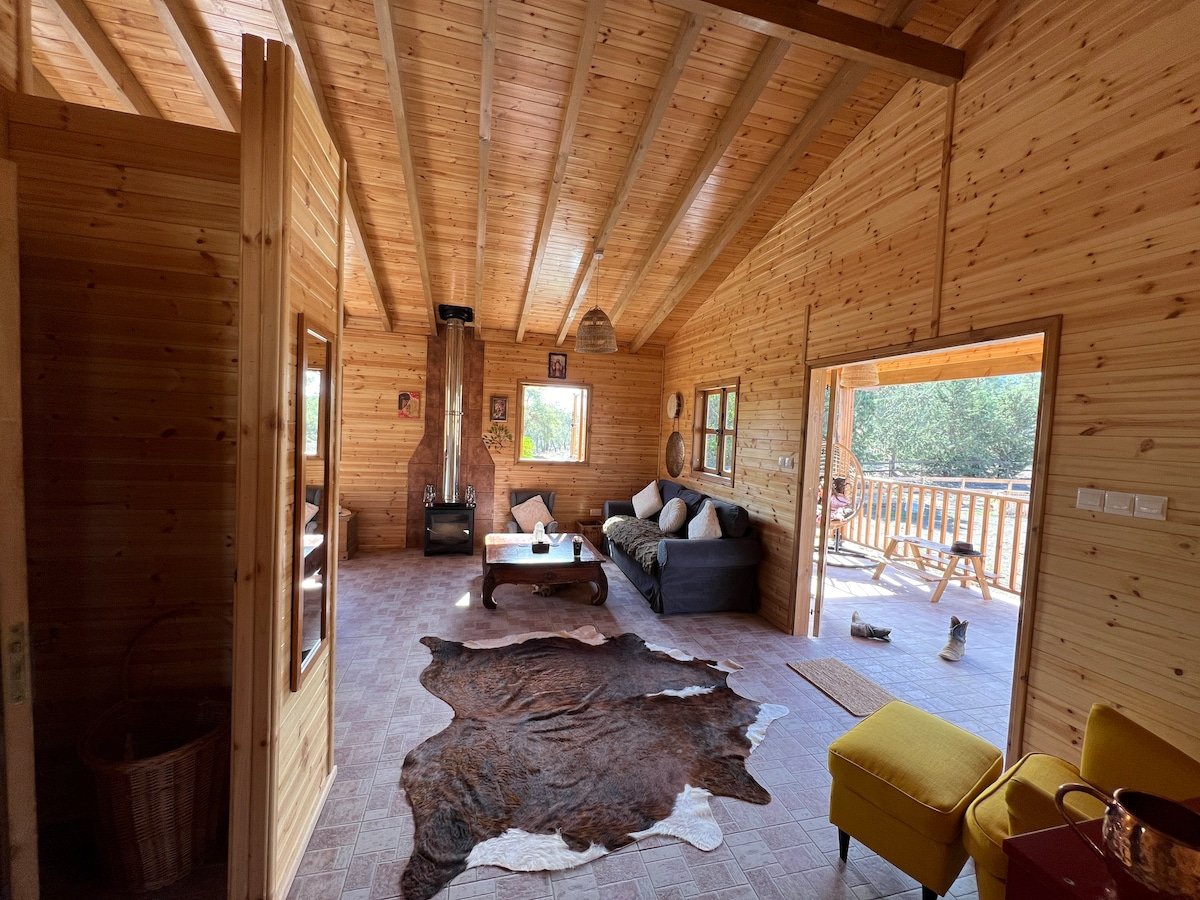 86507b17-8ef5-4d91-9402-b8119e002615