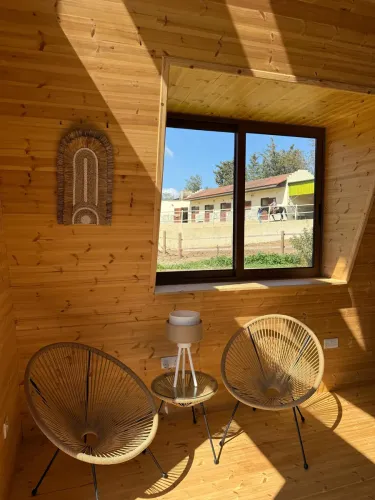 photo_07-03-2026_18_48_28_copy