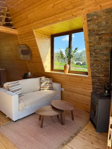 photo_07-03-2026_18_48_30_1_copy