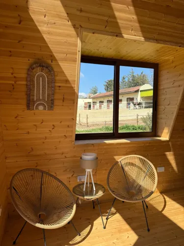 photo_07-03-2026_18_48_30_copy