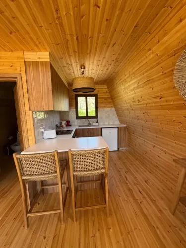 photo_07-03-2026_18_48_31_1_copy