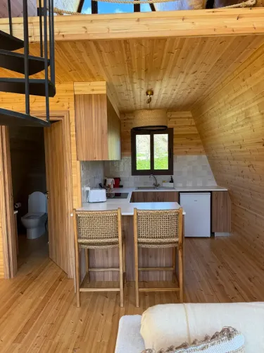 photo_07-03-2026_18_48_31_copy