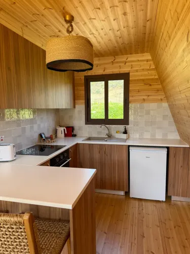 photo_07-03-2026_18_48_32_3_copy