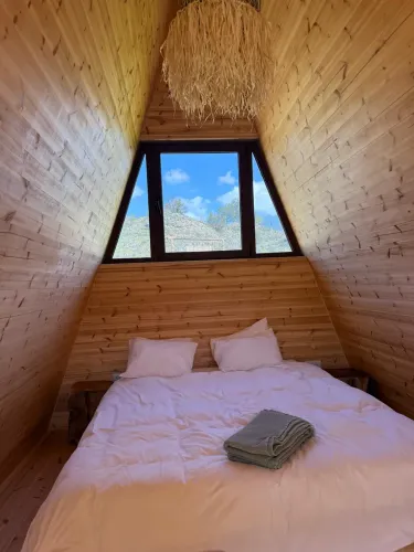 photo_07-03-2026_18_48_34_1_copy