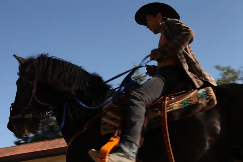 western riding rider 