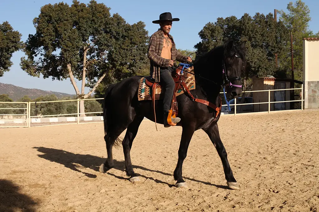 Man on a horse western style riding 