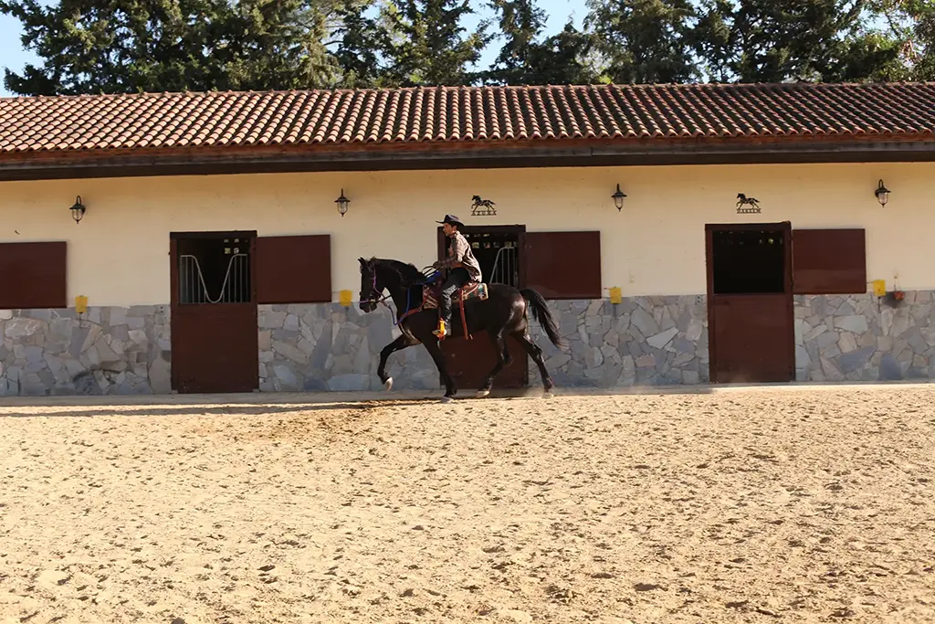 Man on western style riding horse back at rock rose ranch for horse holidays in Cyprus

