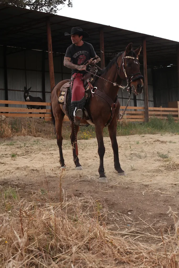 man riding a horse western riding style