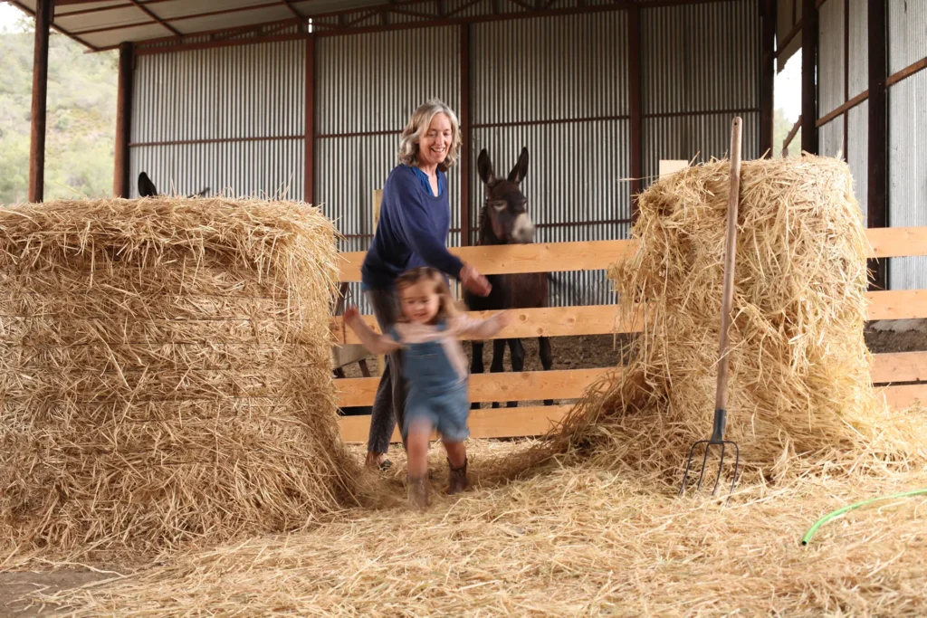 grandma and grandchild looking at a donkey western trail riding in Cyprus