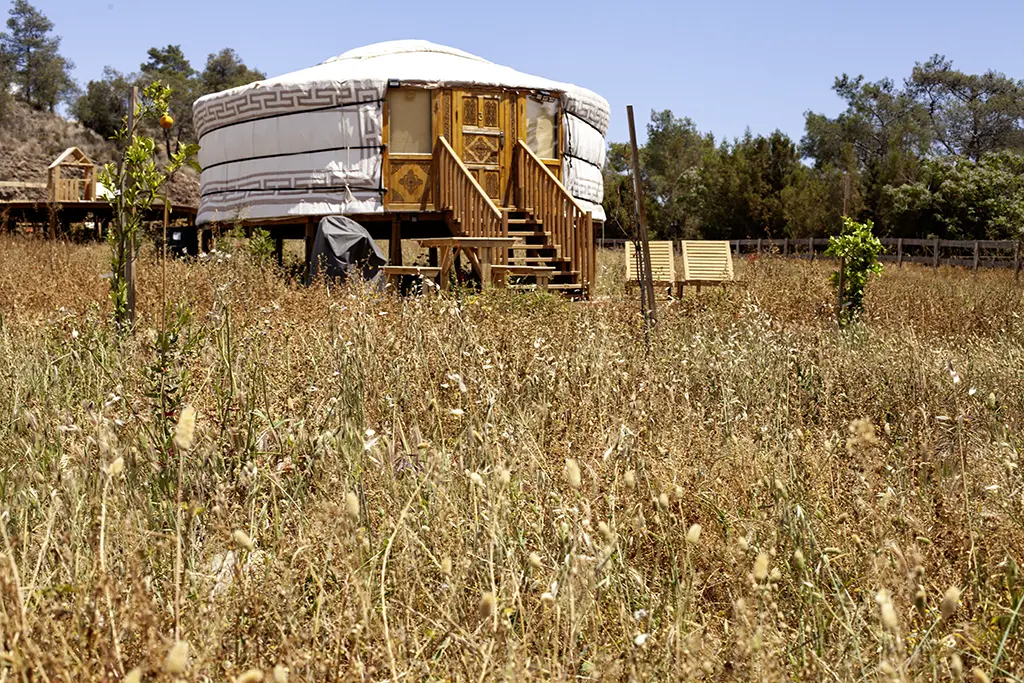 Mongolian Yurts at rock rose ranch for horse holidays and glamping in Cyprus
